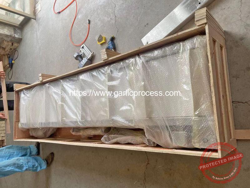 Garlic-Processing-Machine-Conveyor-for-Italy-Customer